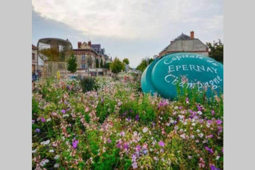 Suite Premium Le Figaro 2 Épernay Zewnętrze zdjęcie