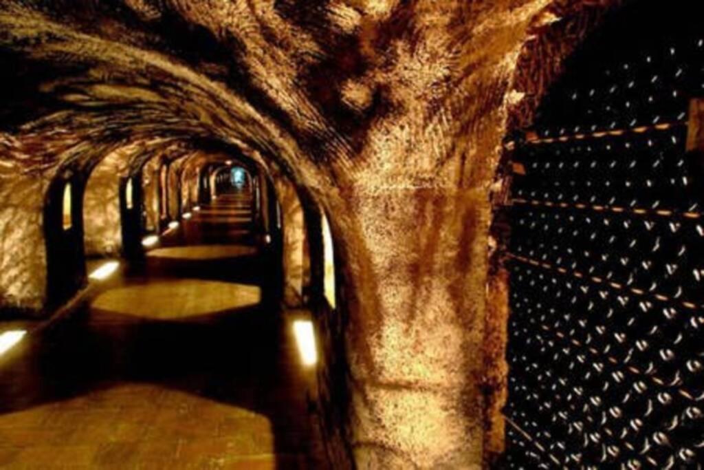 Suite Premium Le Figaro 2 Épernay Zewnętrze zdjęcie